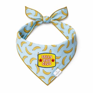 May include: A light blue dog bandana with a repeating pattern of yellow bananas. The bandana has a gold trim and a bow at the top. A patch with the words "BELLY RUB CLUB" is sewn on the front.