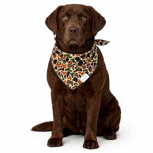 Puede incluir: Un labrador chocolate con un pa&ntilde;uelo de camuflaje. El pa&ntilde;uelo presenta un patr&oacute;n de formas marrones, verdes y negras. El perro est&aacute; sentado y mirando directamente a la c&aacute;mara. Una peque&ntilde;a etiqueta blanca est&aacute; adherida al pa&ntilde;uelo.