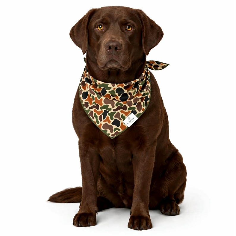 Puede incluir: Un labrador chocolate con un pa&ntilde;uelo de camuflaje. El pa&ntilde;uelo presenta un patr&oacute;n de formas marrones, verdes y negras. El perro est&aacute; sentado y mirando directamente a la c&aacute;mara. Una peque&ntilde;a etiqueta blanca est&aacute; adherida al pa&ntilde;uelo.