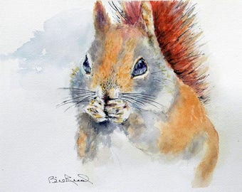 Little Red Squirrel - Fine art print of my original watercolor painting