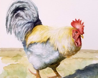 Rudy The Rooster - fine quality print of my original watercolor painting