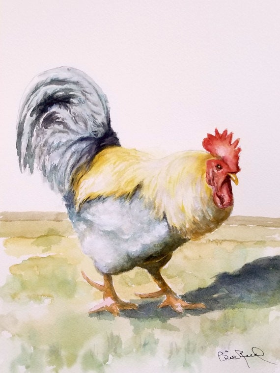 Rooster Rudy Texture Rudy the Rooster Fine Quality Print of My Original - Etsy