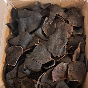 Peut inclure: Une boîte en carton remplie de morceaux bruns foncés de forme irrégulière. Les morceaux ont une texture de cuir et semblent être séchés ou durcis. La boîte est ouverte et le contenu est visible d'en haut.