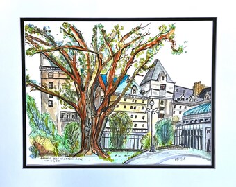 Arbutus w hotelu Empress, Victoria BC, akwarela – papier matowy Archival, 14x11 cali