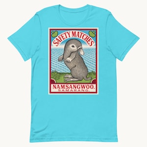 Puede incluir: Una camiseta de manga corta color turquesa brillante con un estampado gráfico rectangular de un ornitorrinco de pie sobre una orilla verde junto a agua azul. El texto dice SAFETY MATCHES arriba y NAMSANGWOO. SAMARANG. abajo en color rojo.