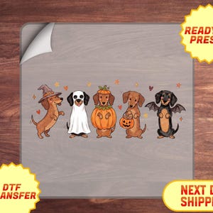May include: A DTF transfer sheet featuring five dachshunds in Halloween costumes: a witch, a ghost, a pumpkin, a trick-or-treater with a jack-o'-lantern bucket, and a bat. The design includes small hearts and stars, with yellow badges reading READY TO PRESS and DTF TRANSFER.