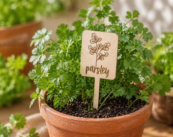 Segnalibri per erbe aromatiche, pali per erbe aromatiche in vaso, marcatori per erbe aromatiche con etichetta, marcatori per piante aromatiche in acrilico, marcatori per erbe aromatiche colorati, accessorio da giardino, regalo per la mamma