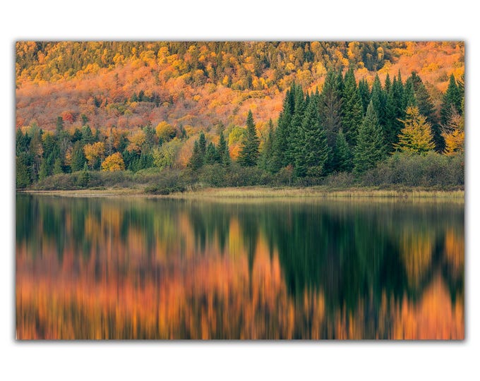 Autumn by the Lake