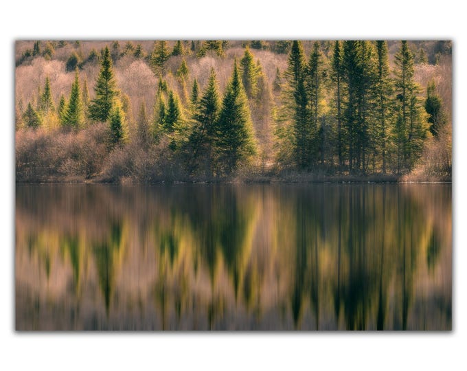 Chaude lumière de printemps