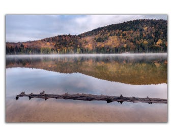 Silence et automne