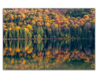 Autumn Impression - Quebec Wall Art