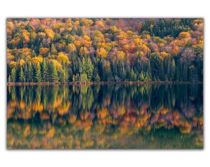 Autumn Impression - Quebec Wall Art