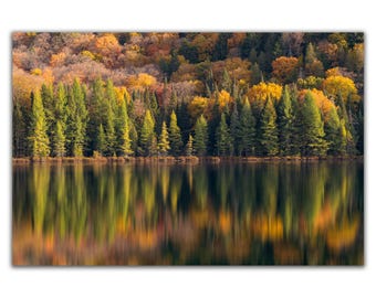 Golden mirror - autumn in Quebec