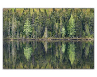 Boreal mirror