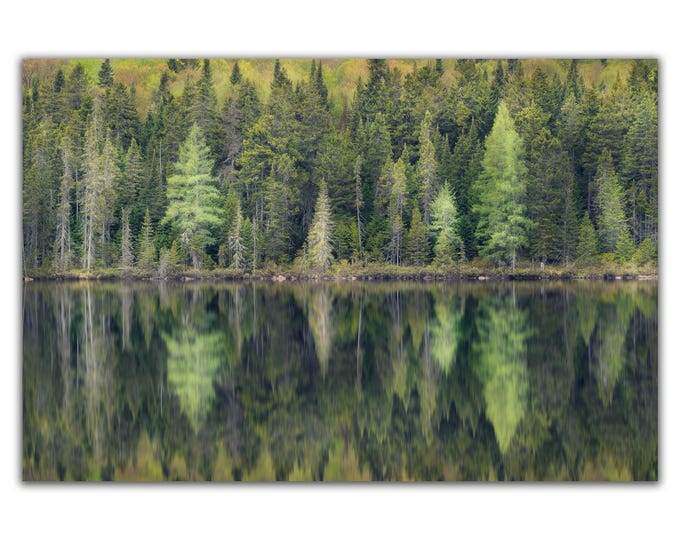 Boreal mirror