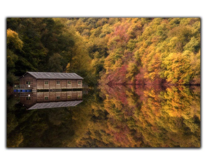 Autumn quest