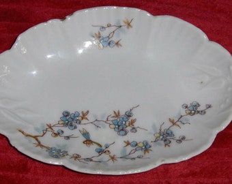 Vtg H & C Bavaria Karlsbad Limoges Blue Flowers Plate Porcelain Ceramic Dish
