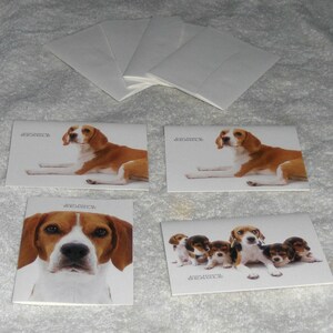 May include: Four blank greeting cards with images of beagles. One card features a single beagle lying down, another card features a single beagle sitting, and the last two cards feature multiple beagles.