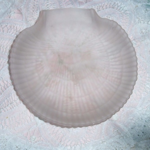 Vintage Scallop Seashell Shaped Glass Dish Nautical Ring Plate Opaque Pink Soap Dish