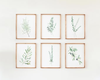 Botanical Watercolor Prints, Greenery Set of 6, Dining Room Decor