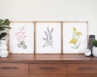 Botanical Print Set, Salvia Yarrow Coral Bell, Watercolor Illustration