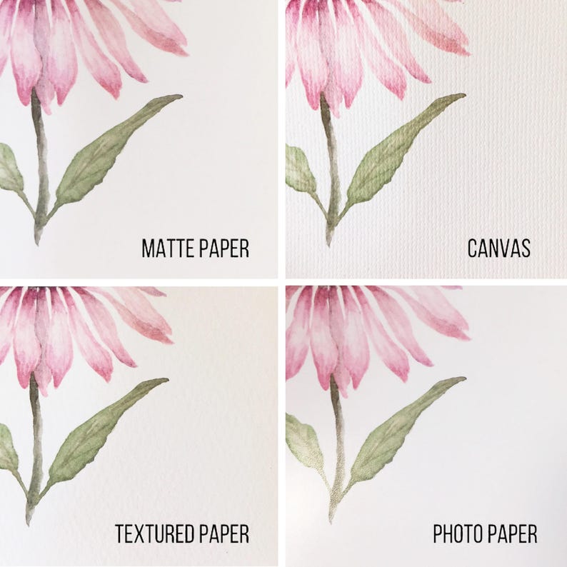May include: A watercolor floral print featuring a pink coneflower with green leaves. The image is divided into four sections, each labeled with a different paper type: matte paper, canvas, textured paper, and photo paper.