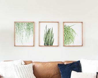 Botanical Watercolor Print Set, Snake Plant, Spider Plant, String of Pearls