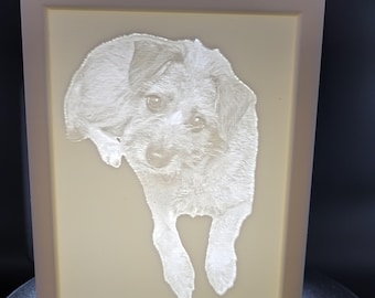 Custom 3D Lithophane Picture, Personalized Pet or Family Suncatcher (Window Hanging)