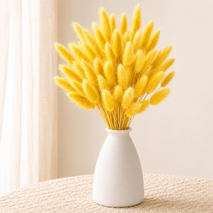 Peut inclure: Un vase en céramique blanc contient un bouquet de graminées séchées jaunes. Le vase a une forme arrondie et est posé sur une surface tissée, créant une esthétique simple et naturelle. L'herbe duveteuse ajoute une touche de couleur.