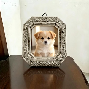 Può includere: Un piccolo cucciolo color marrone chiaro e bianco, con orecchie pendenti e occhi scuri, è centrato all'interno di una cornice ottagonale argentata e decorata. La cornice presenta dettagli intricati in rilievo con motivi floreali.