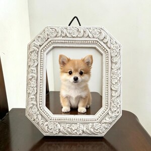 May include: A small, light brown and white Pomeranian puppy sits centered within an ornate, off-white rectangular picture frame. The frame features detailed floral carvings and a beaded inner border, with a black hanging cord at the top.