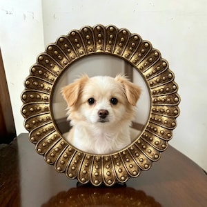 Könnte beinhalten: Ein runder, antik wirkender goldener Bilderrahmen mit einem gewellten, perlenartigen Rand, der ein Foto eines kleinen, flauschigen, cremefarbenen und hellbraunen Hundes mit großen dunklen Augen und Schlappohren zeigt, der direkt nach vorne blickt.