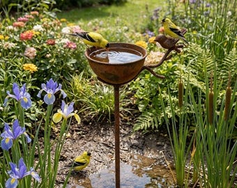 Verroeste metalen vogelbadvoederbak Buitentuin Wilde vogels Waterbak Vintage Yard Art Decor