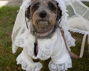 Upcycled Steampunk Dog Clothing, Dog Bride Costume, White Dress, Lace Neck Piece, Bride Veil, Halloween, Couture Pet Costume