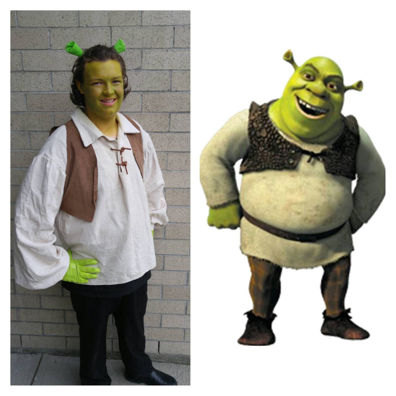 Custom Order Upcycled Shrek the Musical 