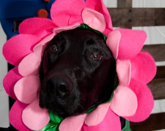 Flower Headpiece - Pink Felt - Flower Costume - Flower Crown -Alice in Wonderland - Flower Fairy