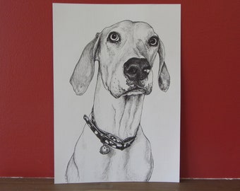 Pet Portrait - Size A4 or A5