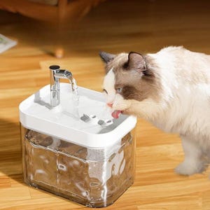 May include: A clear, rectangular pet water fountain with a white top and a chrome tap. A fluffy cat with brown and white fur is drinking from the fountain. Water flows from the tap into the white basin.