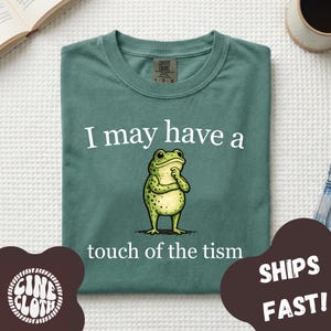 Puede incluir: Una camiseta de color verde salvia con el gráfico de una rana verde de pie con la mano en la barbilla en pose pensativa. El texto blanco sobre la rana dice I may have a y el texto debajo dice touch of the tism. La camiseta tiene cuello redondo.