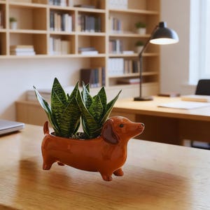 May include: A glossy, brown ceramic dachshund-shaped planter featuring a long body and short legs. The planter holds two green, pointed snake plants with dark horizontal stripes. The dog figure has a smooth finish, a small tail, and ears.