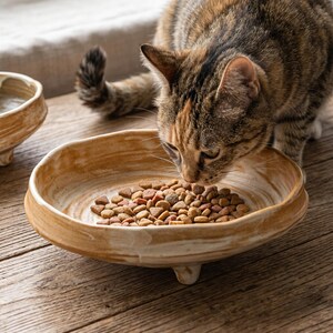 May include: A shallow, round ceramic bowl with a marbled tan and cream finish, featuring three small feet at the base. The bowl contains a portion of dry, brown, triangular and round pet food kibble, with a tabby cat eating from the dish.