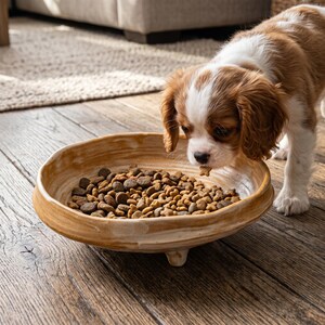 May include: A low, wide, round ceramic bowl with a marbled beige and white finish, supported by three small feet. The bowl is filled with brown dry pet food kibble, and a small brown and white puppy is eating from the bowl.