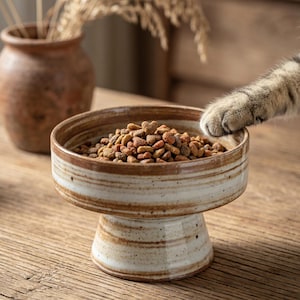 May include: A ceramic pet bowl with a pedestal base, featuring a speckled cream and brown glazed finish. The bowl is filled with dry brown kibble, and a tabby cat paw is visible resting on the rim of the bowl, showcasing its elevated design.