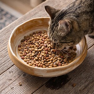 May include: A round, beige, hand-thrown ceramic bowl with a wavy rim filled with small, multi-colored dry kibble. A brown tabby cat is eating from the bowl, which features a glossy, swirled glaze finish on the interior and exterior surfaces.