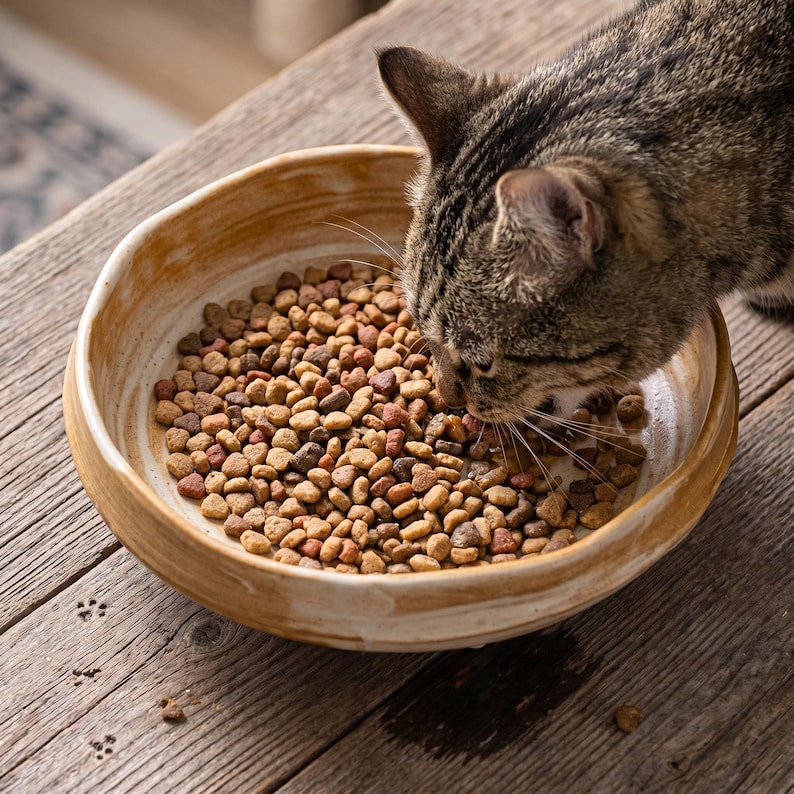 May include: A round, beige, hand-thrown ceramic bowl with a wavy rim filled with small, multi-colored dry kibble. A brown tabby cat is eating from the bowl, which features a glossy, swirled glaze finish on the interior and exterior surfaces.