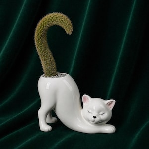 Peut inclure: Un pot de fleurs en céramique blanche en forme de chat avec un cactus vert. Le chat est dans une pose d'étirement avec les yeux fermés. Le pot a une finition brillante et est posé sur un fond vert foncé.