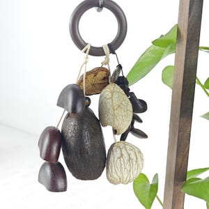 May include: A decorative hanging ornament featuring a dark brown circular ring from which various natural elements are suspended by strings, including a dark brown avocado pit, smooth dark brown seed pods, and two textured, light-coloured dried fruit shells.