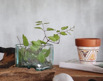 Handmade Glass Terrarium Tank on Wood Base - Beachy Driftwood Decor, Air Plant Holder, Rustic Gift Idea, Nature Style Home Accent