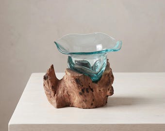 Molten Glass on Driftwood Bowl – Hand Blown Glass Vase, Rustic Woodland Decor, Organic Modern Centerpiece, Coastal Home Accent