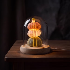 Może przedstawiać: Ozdobna lampa z trzema ułożonymi w stos muszlami jeżowców w odcieniach pomarańczu, różu i zieleni, zamkniętymi pod szklaną kopułą. Muszle umieszczone są na okrągłej, jasnej drewnianej podstawie z przewodem zasilającym wychodzącym z boku.